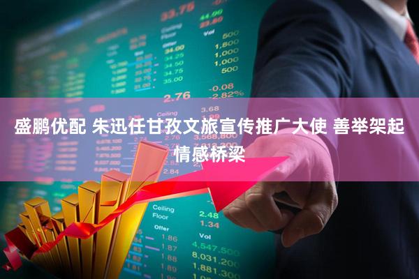 盛鹏优配 朱迅任甘孜文旅宣传推广大使 善举架起情感桥梁