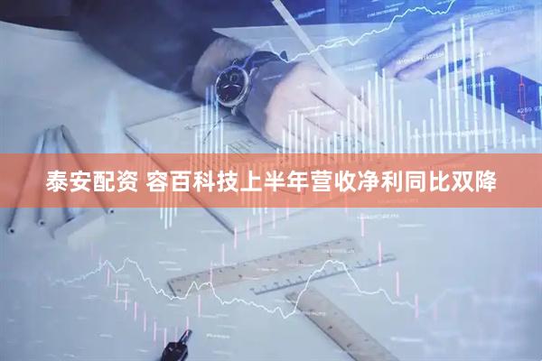 泰安配资 容百科技上半年营收净利同比双降