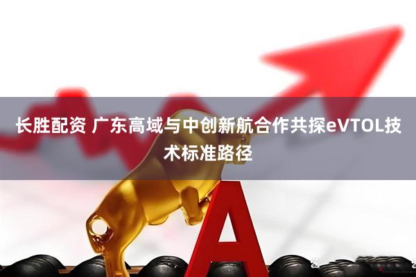 长胜配资 广东高域与中创新航合作共探eVTOL技术标准路径