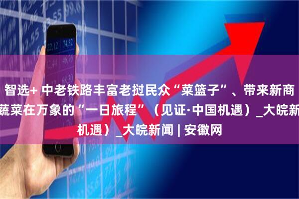 智选+ 中老铁路丰富老挝民众“菜篮子”、带来新商机—— 中国蔬菜在万象的“一日旅程”（见证·中国机遇）_大皖新闻 | 安徽网