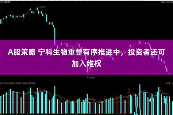 A股策略 宁科生物重整有序推进中，投资者还可加入维权