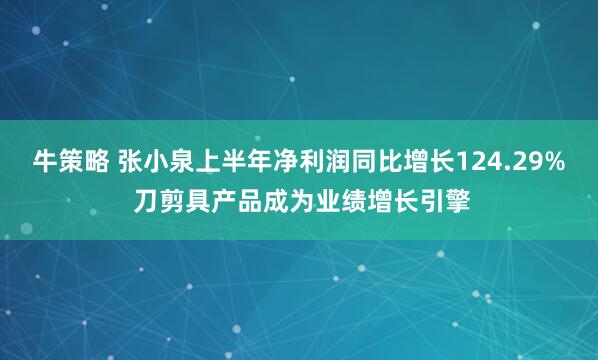 牛策略 张小泉上半年净利润同比增长124.29% 刀剪具产品成为业绩增长引擎