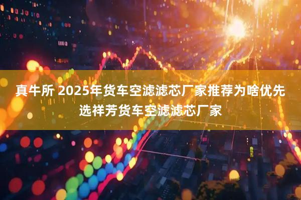 真牛所 2025年货车空滤滤芯厂家推荐为啥优先选祥芳货车空滤滤芯厂家