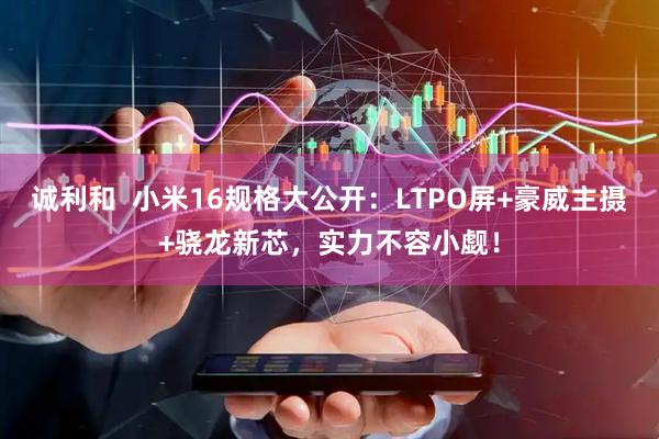 诚利和  小米16规格大公开：LTPO屏+豪威主摄+骁龙新芯，实力不容小觑！