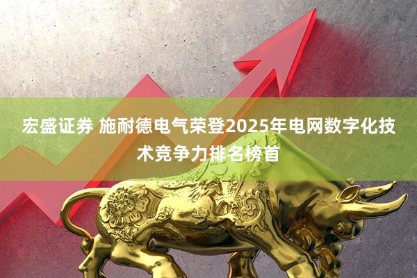宏盛证券 施耐德电气荣登2025年电网数字化技术竞争力排名榜首