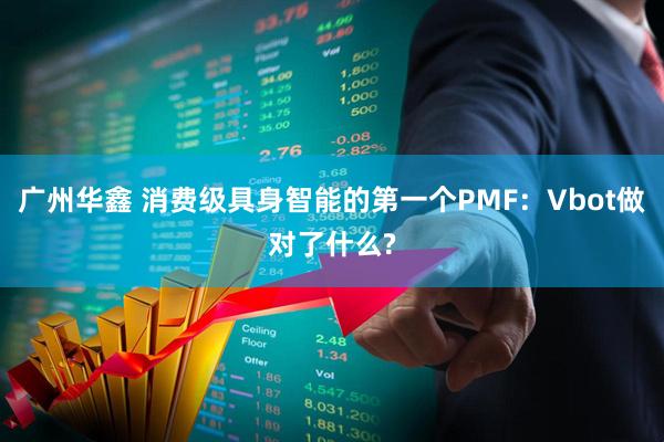 广州华鑫 消费级具身智能的第一个PMF：Vbot做对了什么?