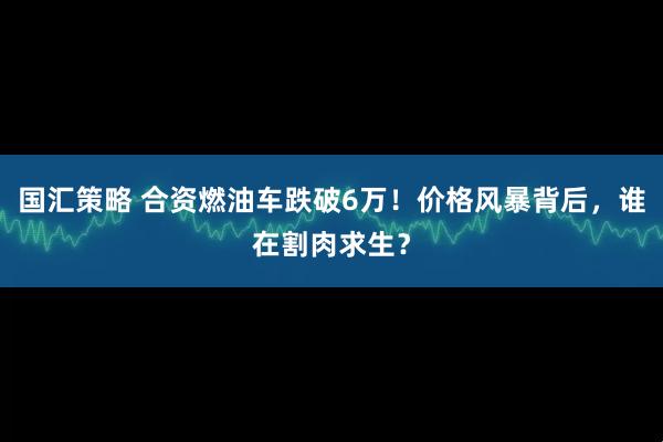 国汇策略 合资燃油车跌破6万!价格风暴背后,谁在割肉求生?