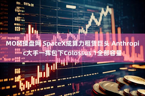 MOM操盘网 SpaceX成算力租赁巨头 Anthropic大手一挥包下Colossus 1全部容量